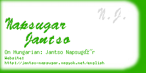 napsugar jantso business card